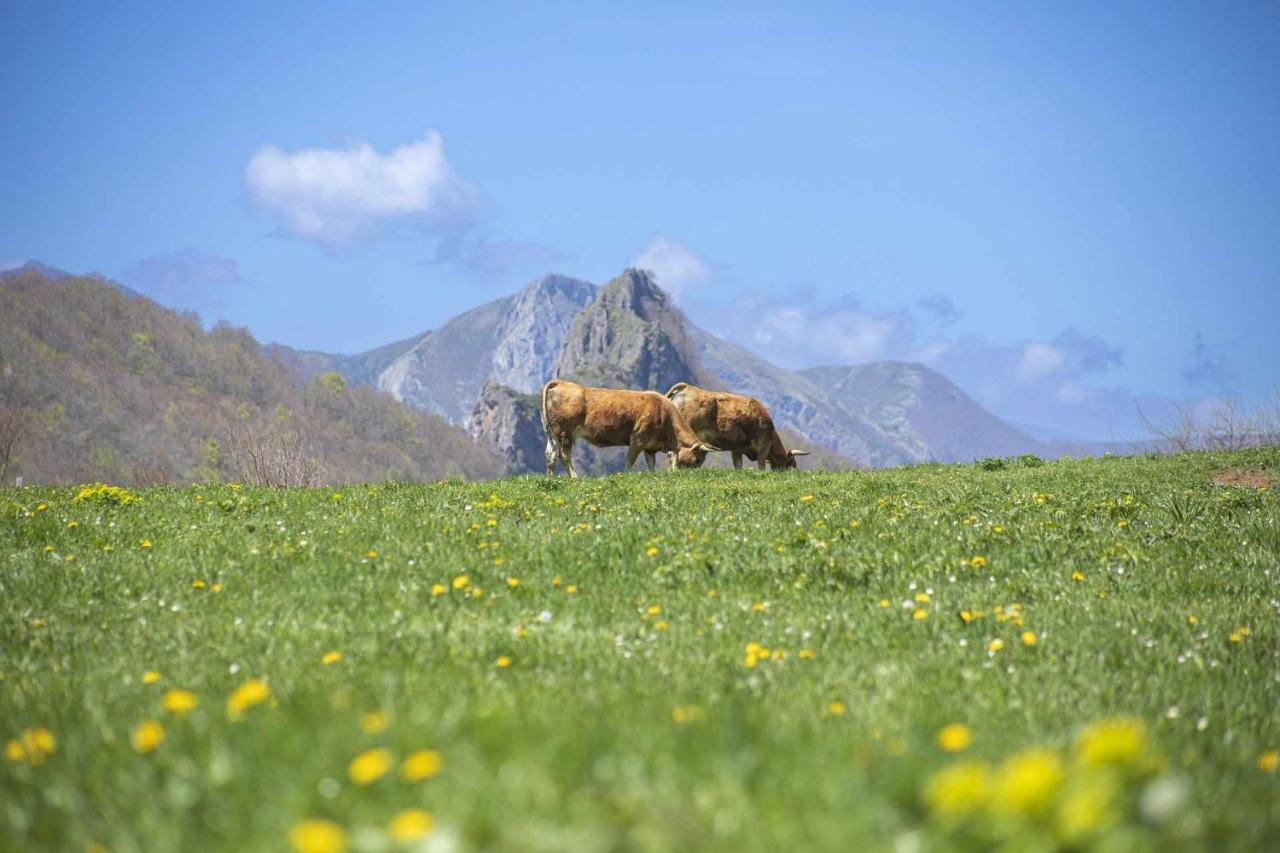 Casa Noval Zona Rural En El Centro De Asturias Apartment Bimenes Bagian luar foto